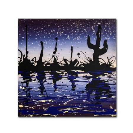 Roderick Stevens 'Desert Lake' Canvas Art,35x35